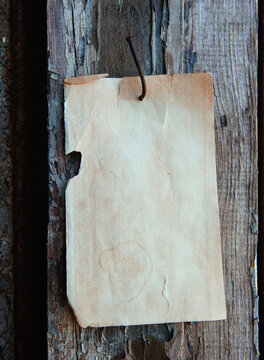 Old vintage paper hanging on aged wall nailed by rusty doornail