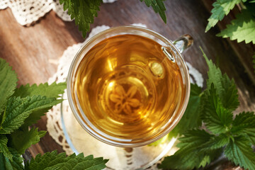 A cup of nettle tea with fresh leaves