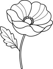 Poppy Fields Forever Color the Vector Beauty of Nature
