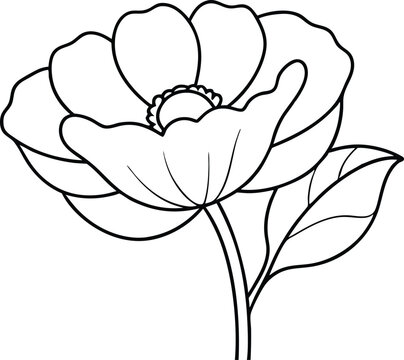 Blooming Poppies Vector Magic Unleash Your Inner Artist
