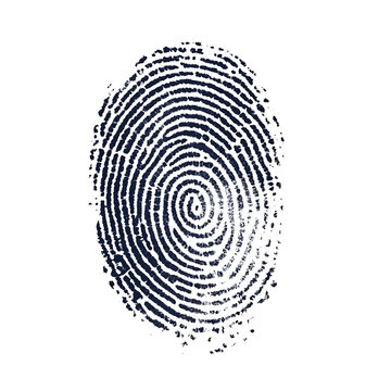 recommend clip art: Finger Print on transparent background, red fingerprint against on white background, black Fingerprint isolated png.