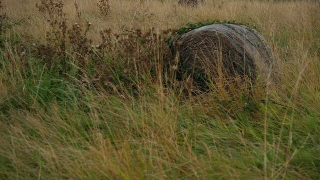 Farmland with bales of hay