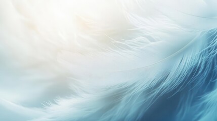 ethereal closeup of soft white feathers symbolizing peace and spirituality delicate textures and heavenly light create a serene angelic atmosphere perfect for contemplative themes