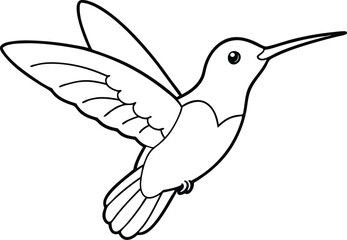 Hummingbird Adventures A Vector Coloring Page Experience
