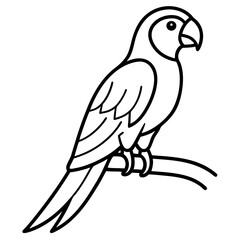 Abstract Parrot Perch Clean Line Art on White Vector