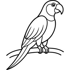 Abstract Parrot Perch Clean Line Art on White Vector