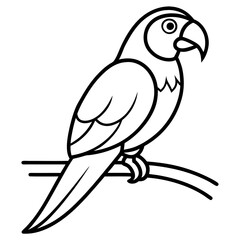 Fototapeta premium Abstract Parrot Perch Clean Line Art on White Vector