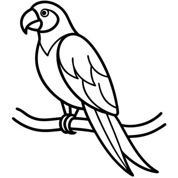 recommend clip art: Abstract Parrot Perch Clean Line Art on White Vector
