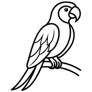Abstract Parrot Perch Clean Line Art on White Vector