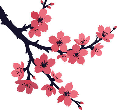 pink cherry blossoms on dark branch clip art preview