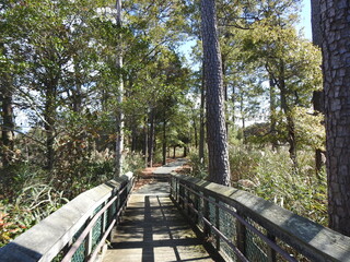 Visitors enjoy the beautiful scenery, while hiking the Tubby Cove Boardwalk Trail within the...