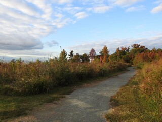 Visitors can enjoy the natural beauty of the Eastern Neck National Wildlife Refuge, while hiking the Bayview Butterfly Trail, Kent County, Rock Hall, Maryland. 