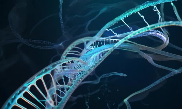 Formation and alteration of genes in genetic research