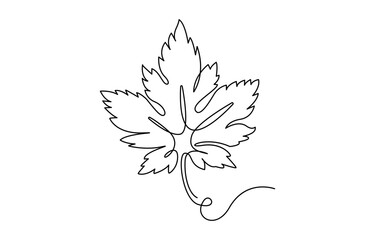 Maple leaf One line drawing isolated on white background, Autumn Maple Leaf, Canada Day Continuous Line Drawing with Editable Stroke and Color Elements, Virginia Creeper Maple Leaf Continuous Line