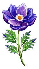 Elegant Purple Anemone Flower Illustration - Stunning Floral Art with Vibrant Petals and Green Leaves, Ideal for Decor and Designs, Anemone Vector Illustration, Vector Flower Illustration
