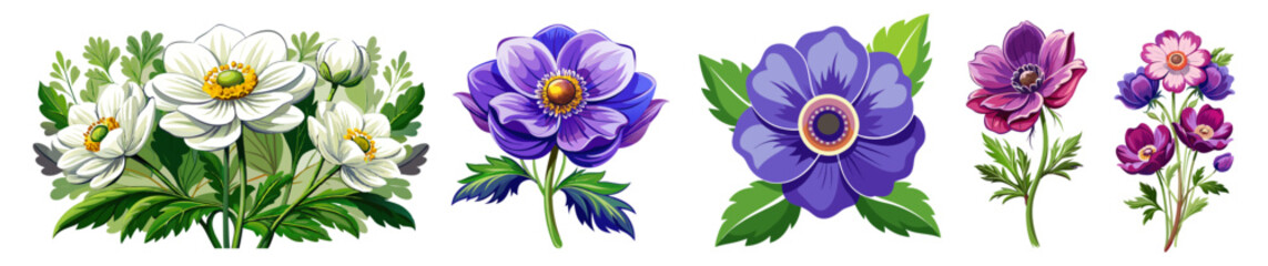 Elegant Purple Anemone Flower Illustration - Stunning Floral Art with Vibrant Petals and Green Leaves, Ideal for Decor and Designs, Anemone Vector Illustration, Vector Flower Illustration
