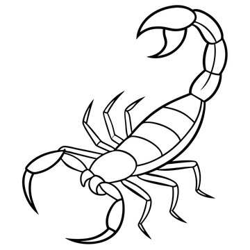 recommend clip art: Minimalist Scorpion Line Art with Curved Pincers and Tail