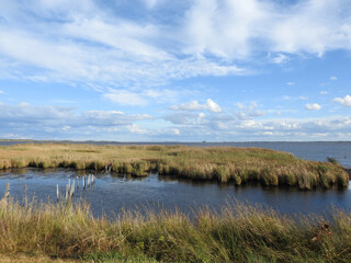 The beautiful scenery of the wetlands within the Blackwater National Wildlife Refuge, during the autumn season, Dorchester County, Cambridge, Maryland.
