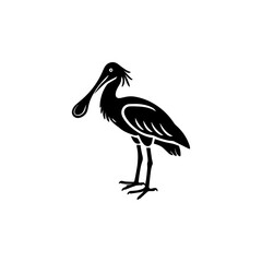 roseate spoonbill silhouette black white background, vector illustrations