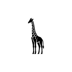 giraffe in black silhouette, vector illustrations