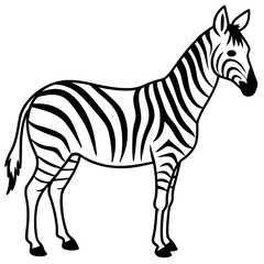 Minimalistic Zebra Line Art with Abstract Black and White Stripes
