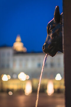 The "Turet", the tipical Bullhead fountain of Torino, in the central square of the City.