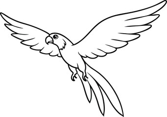 Obraz premium macaw flying with spread wings