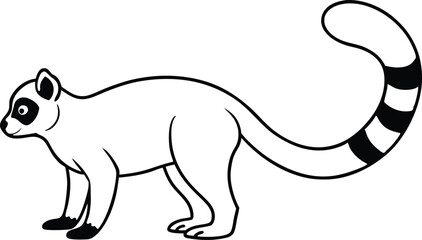 Ringed Tail Wonders of the Lemur World Await You
