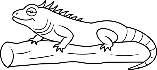 Iguana Dreams on a Log Vector Fun
