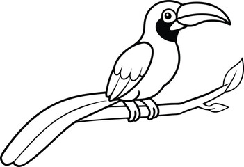 Hornbill Harmony in the Canopy Vector Joy
