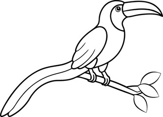 Hornbill Haven on a Sturdy Branch Vector Fun
