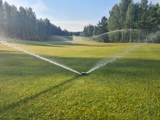 Sprinklers watering a lush green golf course under a clear blue sky in early morning concept