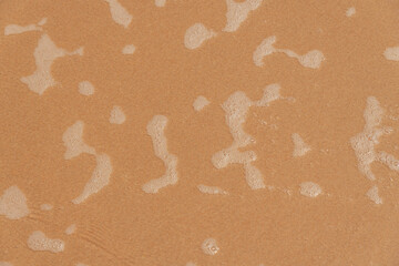 ONDA SE FORMANDO EM PERFEITA SINCRONIA COM A NATUREZA (WAVE FORMING IN PERFECT SYNCHRONY WITH NATURE) © Matheus