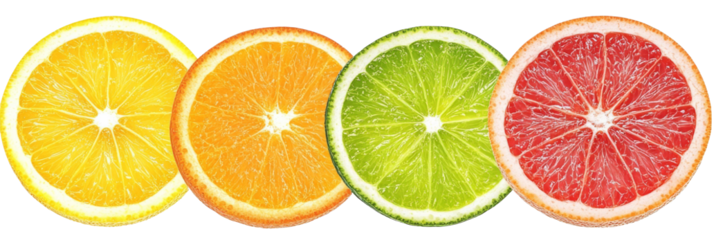 citrus slice, grapefruit, orange, lemon, lime, isolated on white background, clipping path