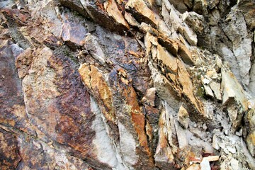 Close-up of textured rock surface showcasing natural geological formations and colors.