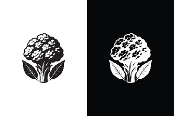 Cauliflower silhouette vector icon with black and white background,