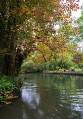 The floating gardens of Les Hortillonnages, Amiens, France, which consist of many small cultivated islands on the banks of the River Somme, surrounded by water. They are only accessible by boat.