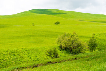 Fototapeta premium Beautiful laconic view of a green mountain covered with grass in serene clear weather
