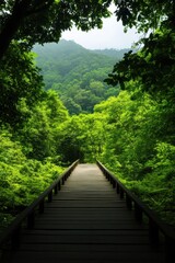 Fototapeta premium Man walking on a wooden bridge through a lush forest with mountains in the background