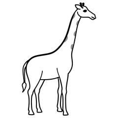 Minimalist Giraffe Outline with Extended Neck on White
