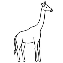 Fototapeta premium Minimalist Giraffe Outline with Extended Neck on White
