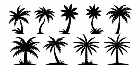 palm tree silhouette, palm tree in different styles vector