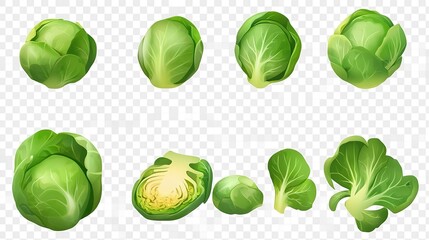 A collection of green vegetables including broccoli, cabbage, and lettuce