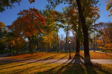 Golden colourful autumn in Maryinskyi park in Kyiv, Ukraine