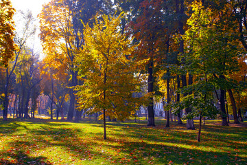 Naklejka premium Golden colourful autumn in Maryinskyi park in Kyiv, Ukraine