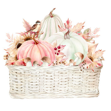 recommend clip art: Pumpkins, mushrooms and fall leaves and a sparrow in a basket. Watercolor Clip Art The illustration is hand drawn in pastel colors. Suitable for card designs, textiles and scrapbooking.