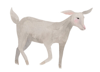 Goat isolated on isolated background, watercolour clipart goat, hand-painted pet paints for product design. Cute goat farm animal element