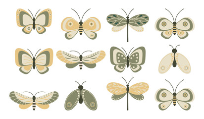 Set of insects, cute butterflies, dragonflies and moths with ornaments. Print, vector © Tatiana