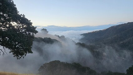 fog