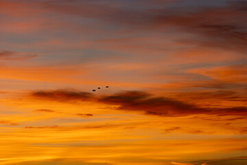 Birds gracefully soaring through a vibrant sunset sky with dramatic clouds, blending harmonious colors of dusk, symbolizing freedom and tranquility
